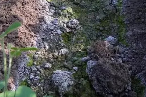 怎样改良酸性土壤，施加的基肥以农家肥为主