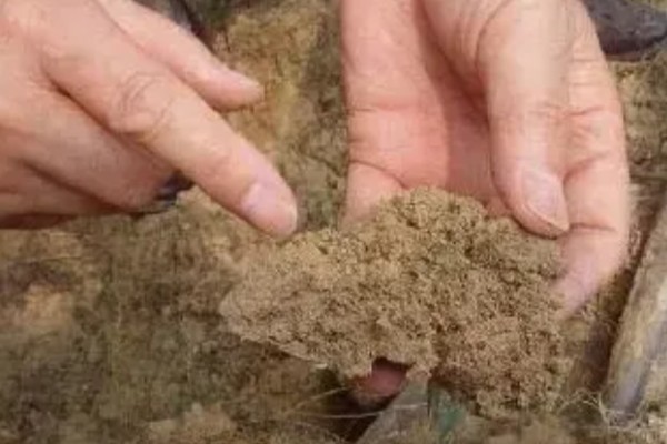 怎样改良酸性土壤，施加的基肥以农家肥为主