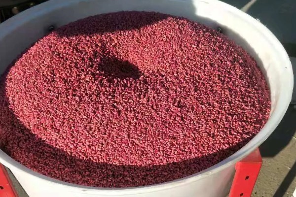 小麦叶枯病有什么类型,分为根腐叶枯病、链格孢叶枯病等种类