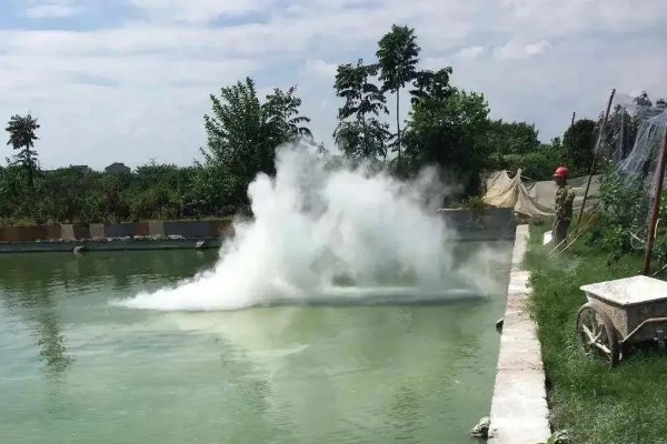 鳝鱼的养殖成本，共约为1080-1180元