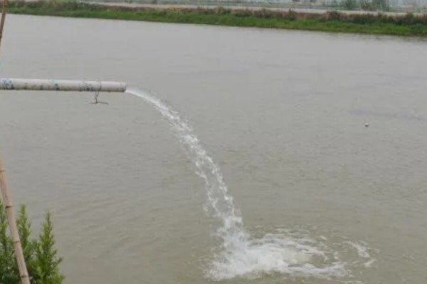 鳝鱼的养殖成本，共约为1080-1180元