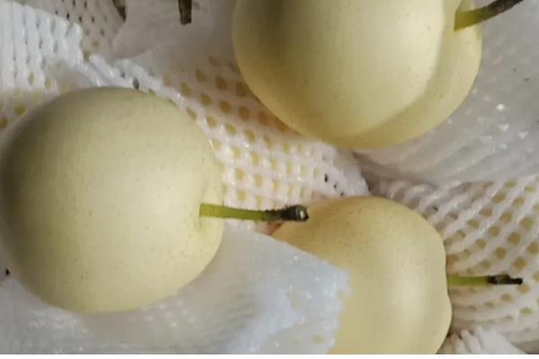 鸭梨的贮藏方法，把仓库温度保持在11-15℃