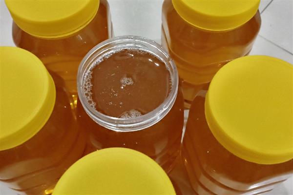 乌桕树蜂蜜的特点,具有乌桕花的自然香味