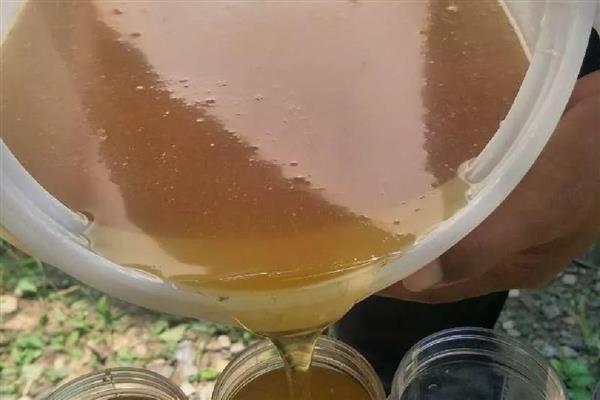乌桕树蜂蜜的特点,具有乌桕花的自然香味