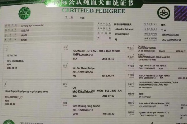 鉴定证书是血统证书吗,二者是两回事