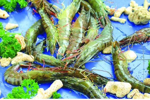 草虾和明虾哪个好吃，两种虾都是很好吃的