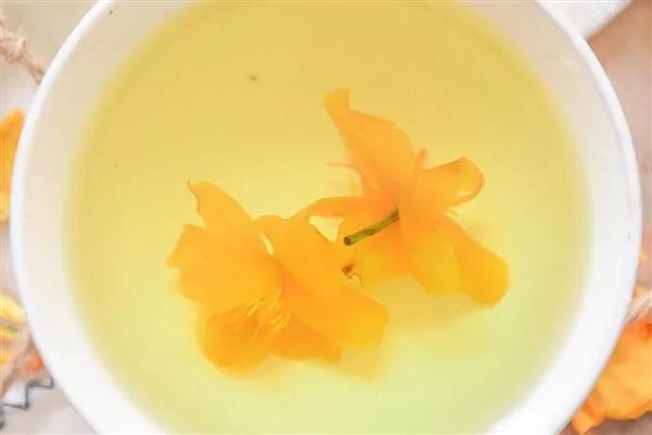 金莲花有哪些作用，可供观赏和净化空气等