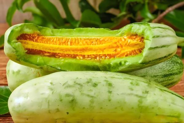 管理羊角蜜的方式，需要在播种前翻一次土