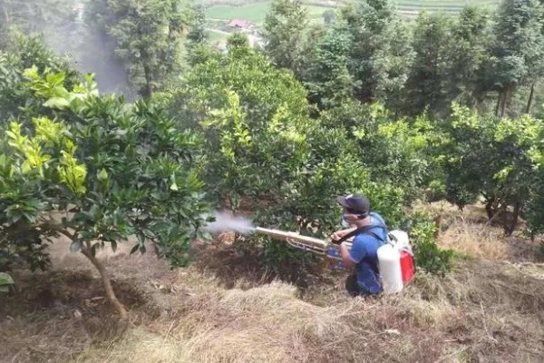 腈菌唑不能与哪些药混用，不可和苯醚甲环唑混用