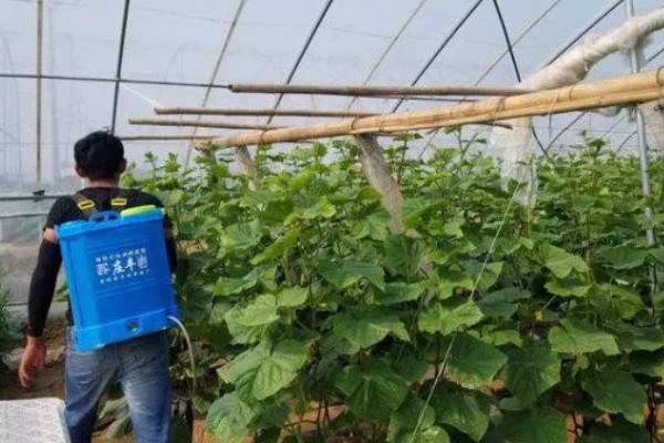 腈菌唑不能与哪些药混用，不可和苯醚甲环唑混用