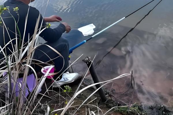 什么天气适合钓黄尾,温度稳定在20℃以上为佳