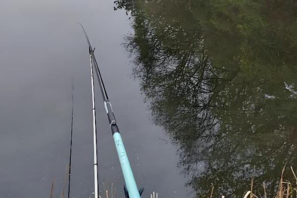 什么天气适合钓黄尾,温度稳定在20℃以上为佳