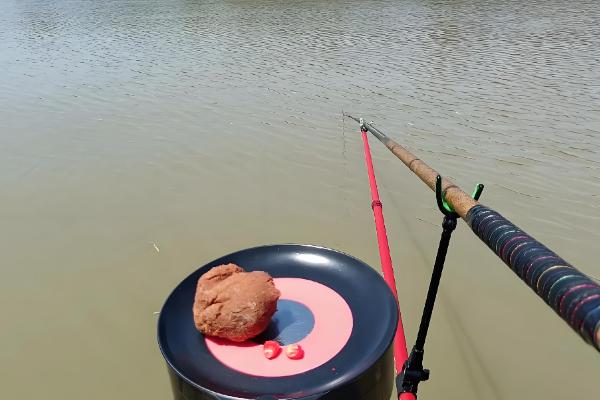 什么天气适合钓黄尾,温度稳定在20℃以上为佳