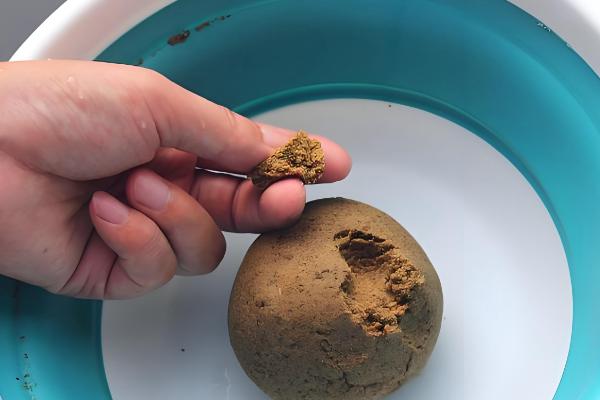 什么天气适合钓黄尾,温度稳定在20℃以上为佳