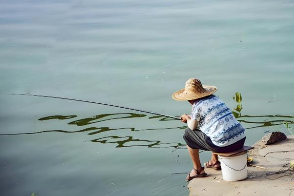 什么天气适合钓黄尾,温度稳定在20℃以上为佳