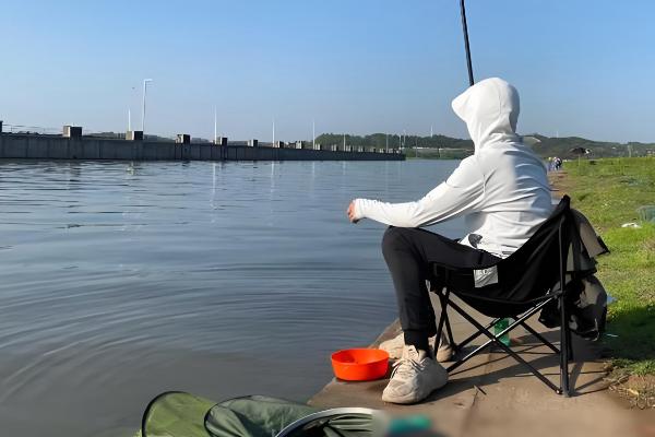 什么天气适合钓黄尾,温度稳定在20℃以上为佳