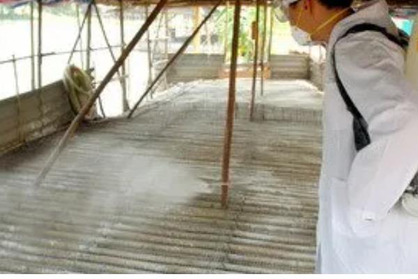 养鸭的技术，要降低养殖密度