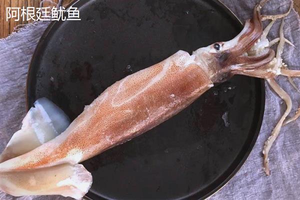 红鱿鱼的产地,主产于东南亚地区