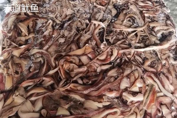 红鱿鱼的产地,主产于东南亚地区