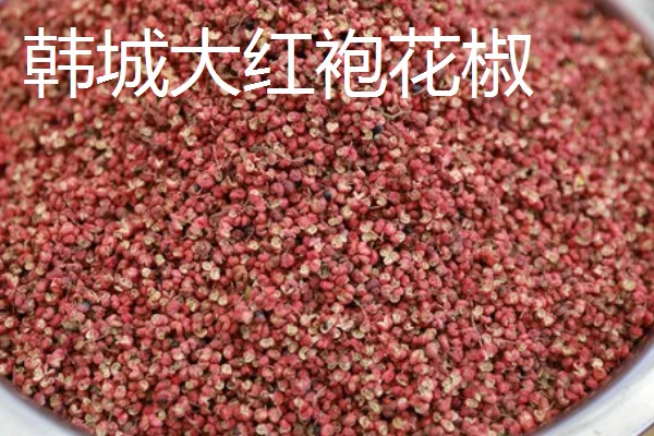 大红袍花椒与花椒有什么区别，枝叶、花朵、果期都不同