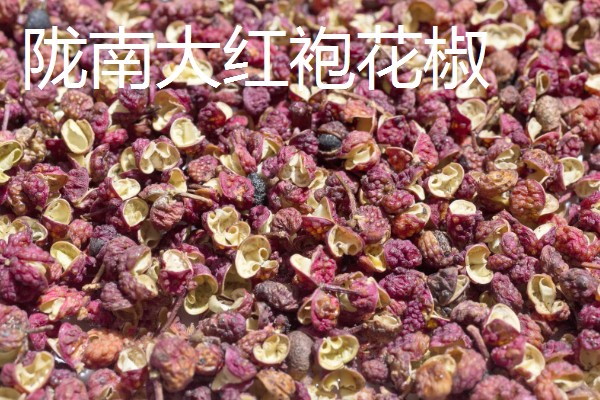 大红袍花椒与花椒有什么区别，枝叶、花朵、果期都不同