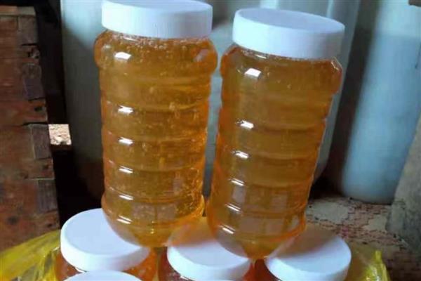 五倍子蜂蜜的简介，未结晶时呈琥珀色或深琥珀色