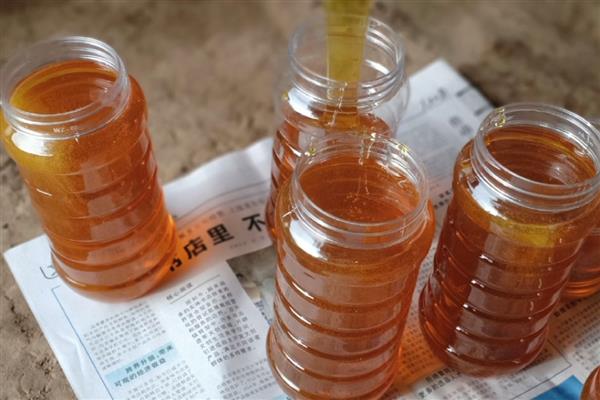 五倍子蜂蜜的简介，未结晶时呈琥珀色或深琥珀色