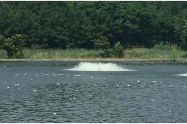 鱼塘氨氮超标量，每升水的含量超过0.02毫克即为超标