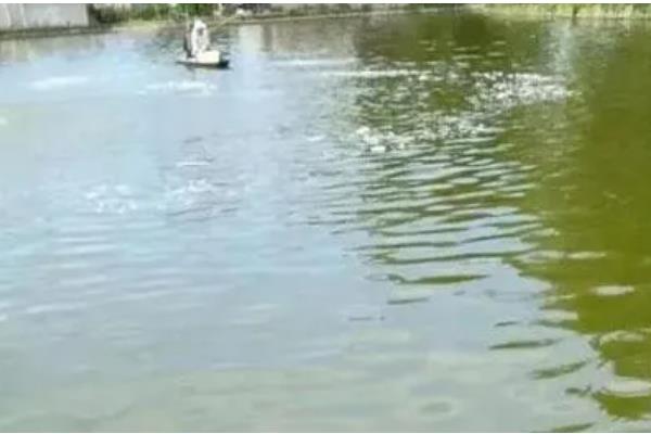 鱼塘氨氮超标量，每升水的含量超过0.02毫克即为超标