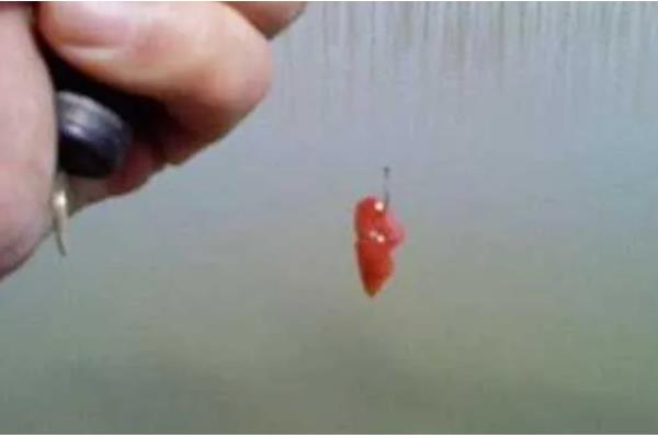 钓鲶鱼用几号钩和几号线，大个体的鲶鱼建议用3-5号千又钩