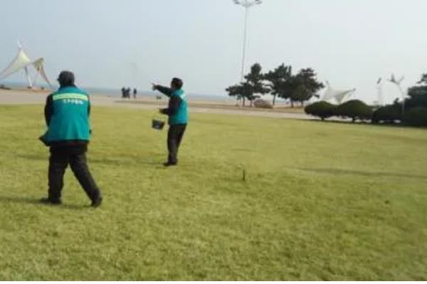 草坪为什么会枯死，可能是修剪不当、发生病虫害等因素所致