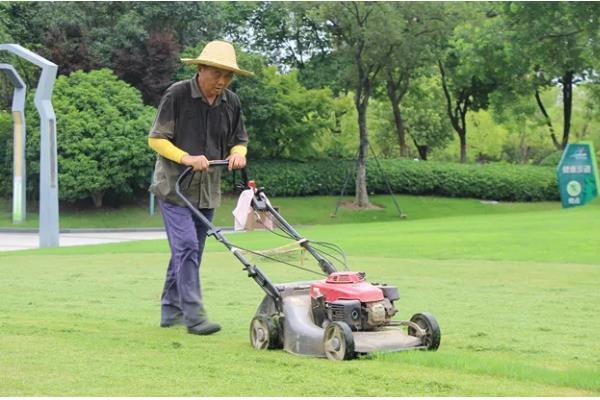 草坪为什么会枯死，可能是修剪不当、发生病虫害等因素所致