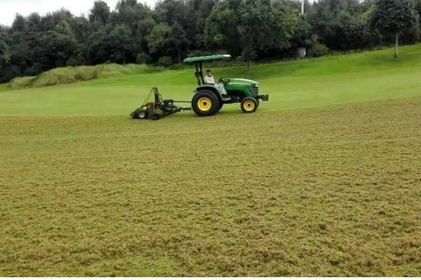 草坪为什么会枯死，可能是修剪不当、发生病虫害等因素所致