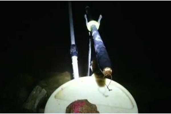 冬季夜钓要钓深吗，气温较低一般适合钓深