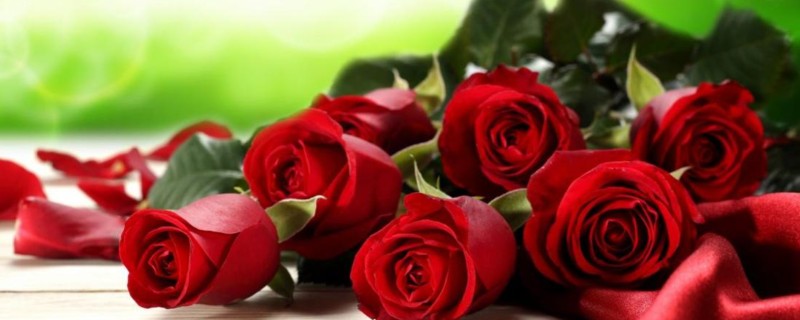 52朵玫瑰的花语,寓意我爱你、浪漫等