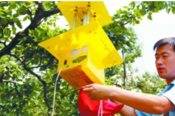 早熟梨防治病虫害的措施，严格进行冬季清园