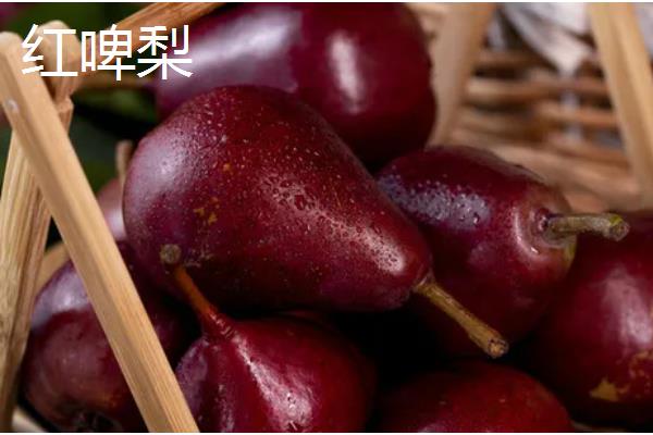 早熟梨防治病虫害的措施，严格进行冬季清园