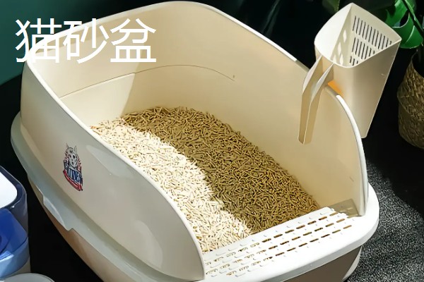 养猫所需用品,猫砂、猫砂盆、猫碗都会用到