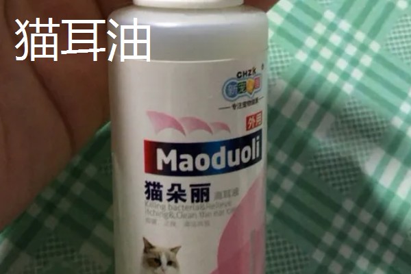 养猫所需用品,猫砂、猫砂盆、猫碗都会用到