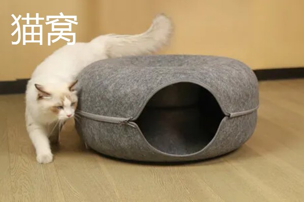 养猫所需用品,猫砂、猫砂盆、猫碗都会用到