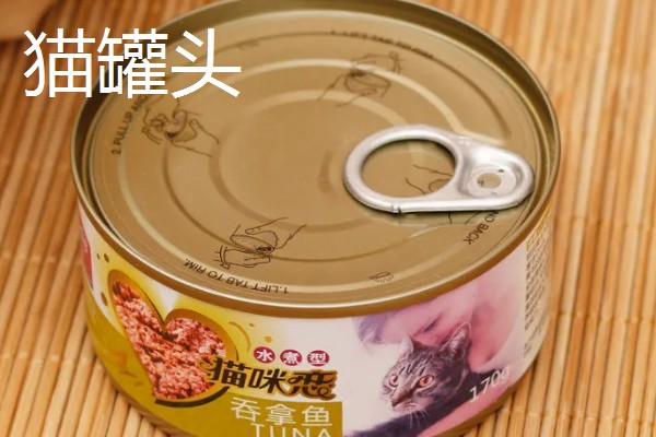 养猫所需用品,猫砂、猫砂盆、猫碗都会用到