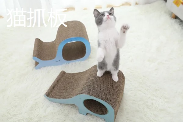 养猫所需用品,猫砂、猫砂盆、猫碗都会用到