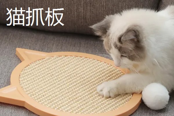 养猫所需用品,猫砂、猫砂盆、猫碗都会用到