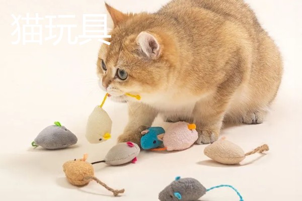 养猫所需用品,猫砂、猫砂盆、猫碗都会用到