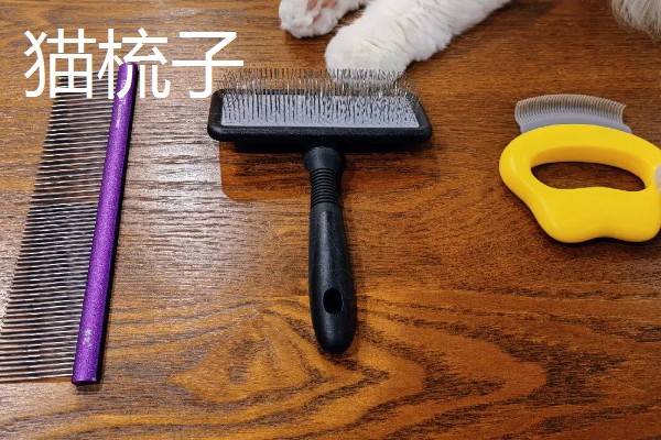 养猫所需用品,猫砂、猫砂盆、猫碗都会用到