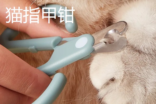 养猫所需用品,猫砂、猫砂盆、猫碗都会用到