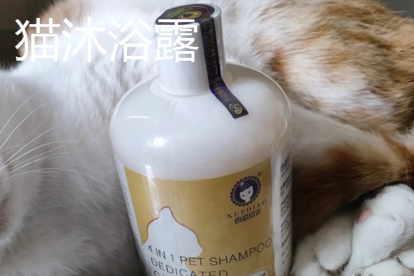 养猫所需用品,猫砂、猫砂盆、猫碗都会用到