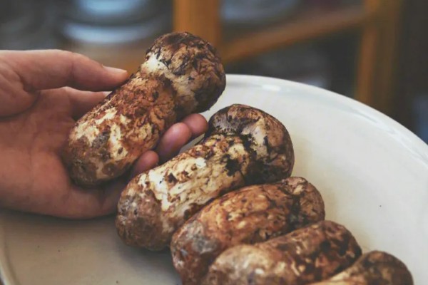 松茸可以保存多长时间,能保存3-7天左右