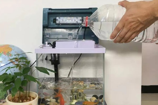 生态鱼缸多久换水一次，至少要两个星期换一次
