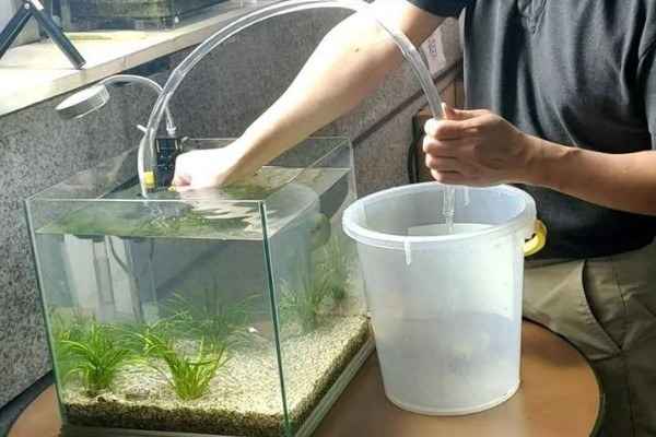 生态鱼缸多久换水一次，至少要两个星期换一次